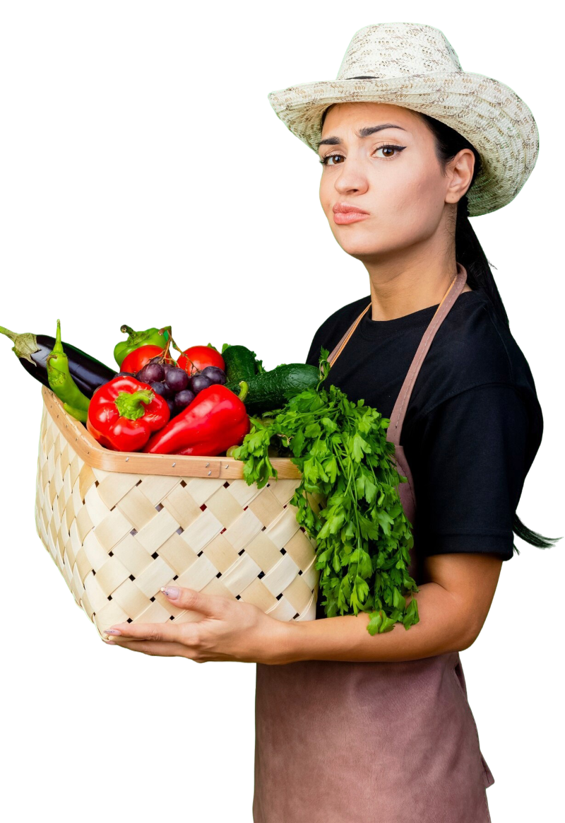 young beautiful woman gardener apron hat holding basket full vegetables with skeptic expression